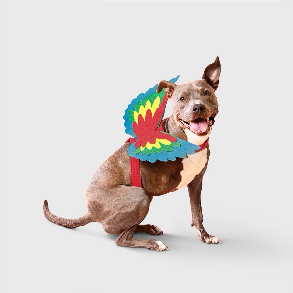 Parrot nwt Wings Dog Costume Accessories - Boots & Barkley L/XL